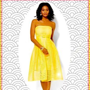 This little yellow fellow is a show runner!